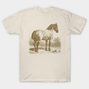 Horse Monochrome Illustration T-Shirt